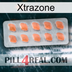 Xtrazone 26